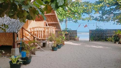 爱妮岛Balai Ko Beach & Cottages的沙滩上摆放着椅子和盆栽植物