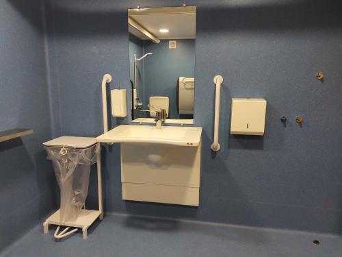 卡伦德凯灵德旅社的一间带水槽和镜子的浴室