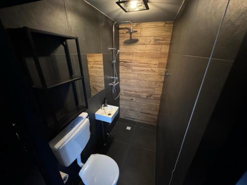 卑尔根Modern guest house.的一间带卫生间和水槽的小浴室