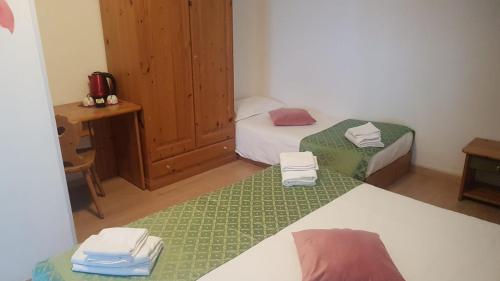 塞尔瓦迪卡多雷Hotel B&B Lorenzini Ski的一间卧室配有两张床、一张桌子和一张桌子