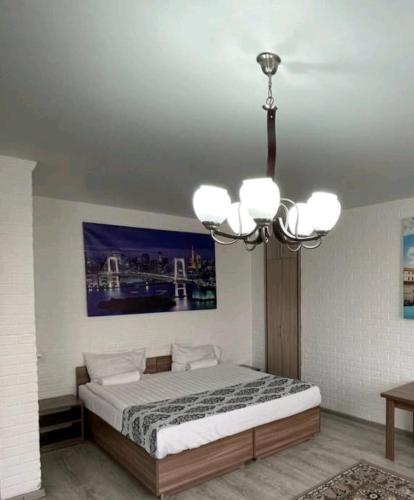 塔尔迪库尔干Меломан的一间卧室配有一张床和一个吊灯