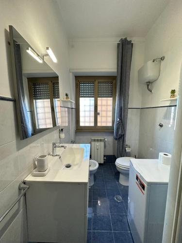 罗马Eufonia Gemelli Apartment的一间带水槽和卫生间的浴室