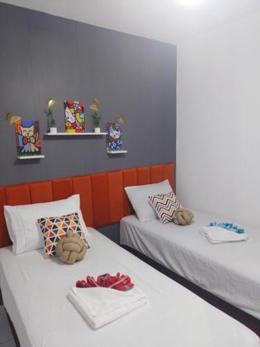 圣若泽-迪里巴马尔Apartamento Inteiro São Luís的一间设有两张床的房间,里面装满了动物