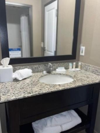 托莱多北托莱多希尔顿恒庭旅馆&套房酒店的浴室的柜台设有水槽和镜子