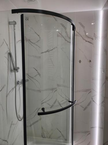 华沙Krucza Apartament的浴室里设有玻璃门淋浴