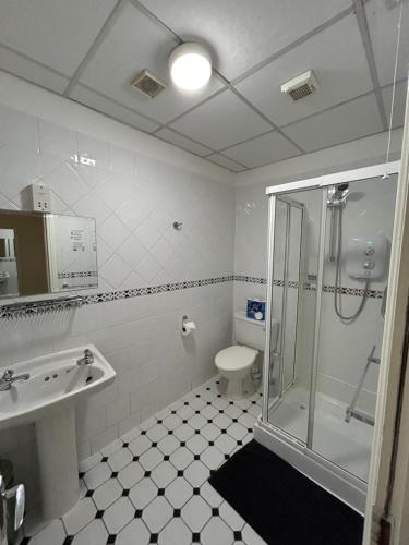 都柏林Gogartys Temple Bar Hostel的带淋浴、卫生间和盥洗盆的浴室
