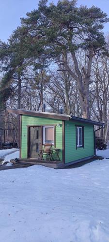 劳拉斯玛Laulasmaa Sleeps的雪中一个小的绿色房子
