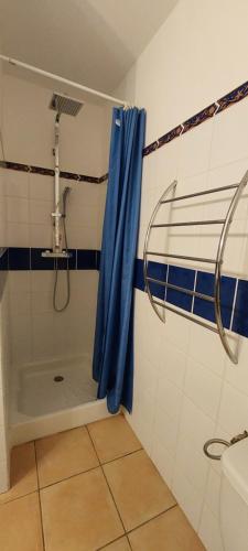 卡尔维chambre love romantique avec spa privée的一间带蓝色淋浴帘的淋浴的浴室