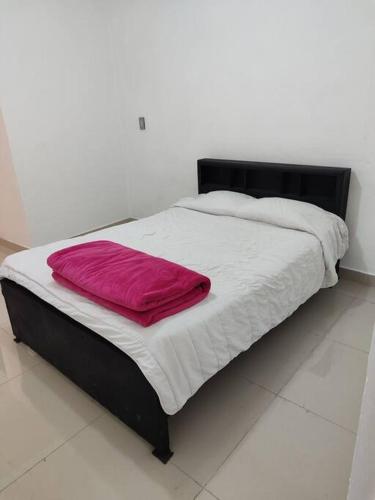 伊达尔戈州波萨里卡Departamento minimalista的床上有红色枕头