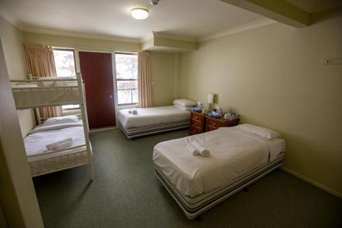 Charlotte PassLucy Lodge的客房设有两张床和一张双层床。