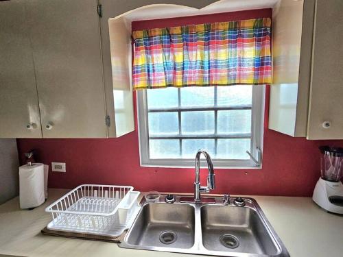 克里斯琴斯特德Veronica's Tropical Oasis的带水槽的厨房台面和窗户
