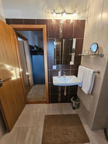 比斯特拉Bystrá Apartment的一间带水槽和淋浴的浴室