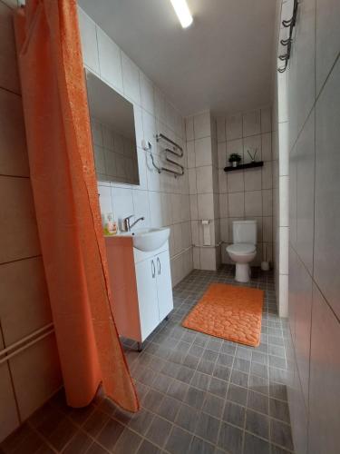 Purku Keskus的浴室配有卫生间、盥洗盆和淋浴。