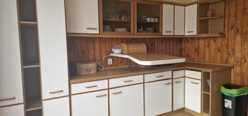 梅泽堡Darkwolf House的厨房配有白色橱柜和吹风机