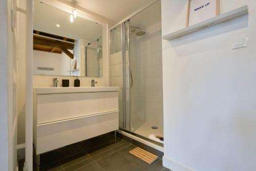 里尔Lille Centre - Superbe appart. avec terrasse !的带淋浴和盥洗盆的浴室