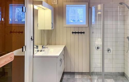 Svingvoll4 Bedroom Stunning Home In Svingvoll的白色的浴室设有水槽和淋浴。