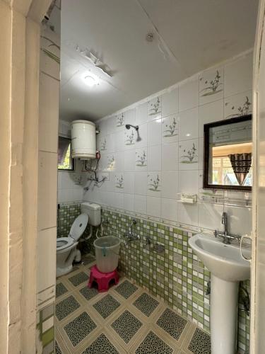 斯利那加Heritage Rose Inn的一间带水槽和卫生间的浴室