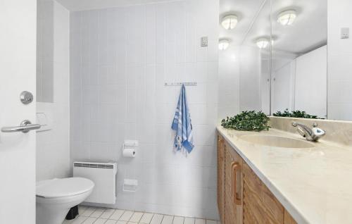 凡岛2 Bedroom Stunning Apartment In Fan的一间带水槽、卫生间和镜子的浴室