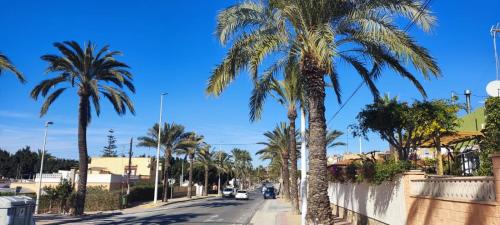 厄尔·阿尔特Alicante airport and beach的一条在路边种有棕榈树的街道