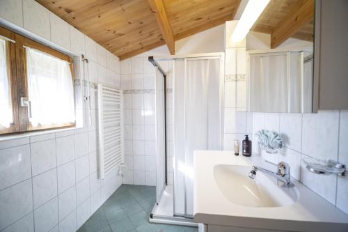RamoschChasa Avant Porta的白色的浴室设有水槽和淋浴。