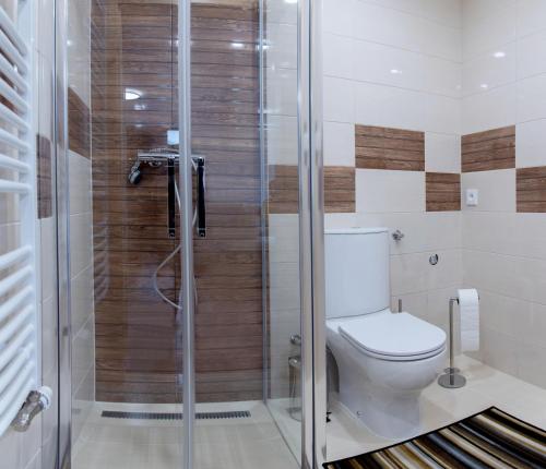 莫斯提威阿布伦克瓦U Janka的一间带卫生间和玻璃淋浴间的浴室