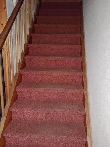 萨森海姆Monteurzimmer rasic的一层铺有红地毯的楼梯