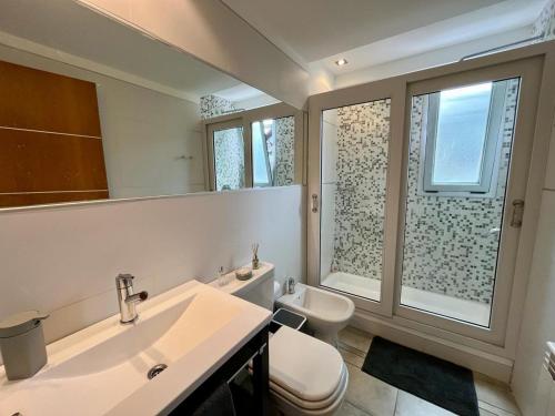 乌斯怀亚Campos de Ushuaia的一间带水槽、卫生间和镜子的浴室