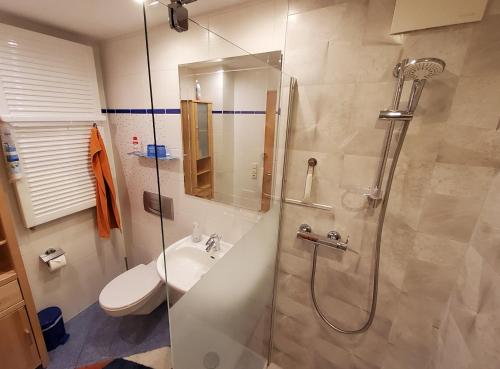 LichtenbergB & B Gästehaus Schmidt的带淋浴、卫生间和盥洗盆的浴室