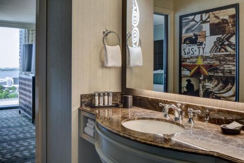 格雷普韦恩盖洛德得克萨斯度假及会议中心酒店的一间带水槽和镜子的浴室