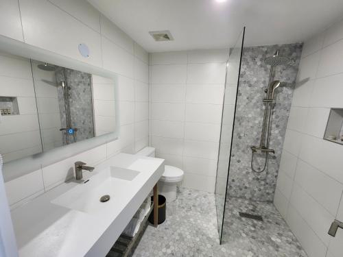 蒙特哥贝Hotel 39 Jamaica的带淋浴、盥洗盆和卫生间的浴室