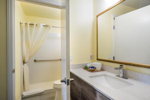 圣罗莎圣罗莎美洲最超值旅馆的一间带水槽、卫生间和镜子的浴室