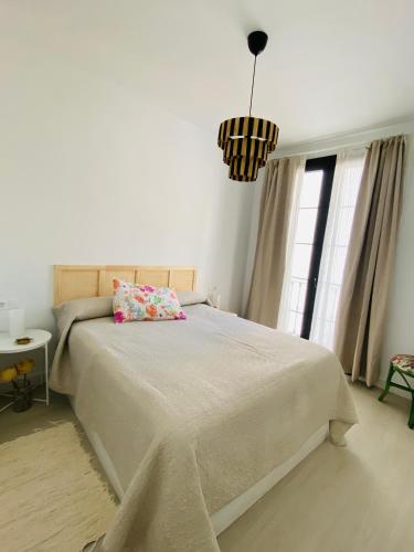 阿洛拉Apartamento La Parra的一间卧室配有一张床和吊灯