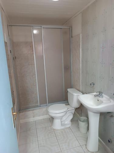 奥索尔诺Cabaña Interior con entrada independiente的浴室配有卫生间、淋浴和盥洗盆。