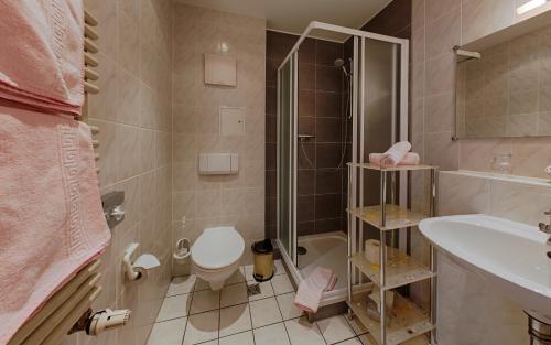 巴特萨罗皮斯库夫埃姆威尔酒店的带淋浴、卫生间和盥洗盆的浴室