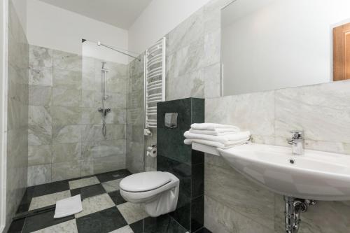 克拉科夫Grottger Luxury Boutique Hotel City的一间带水槽、卫生间和淋浴的浴室