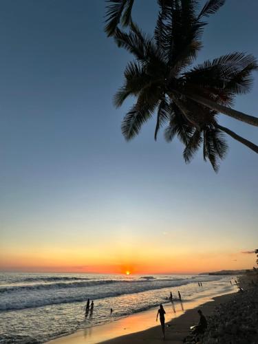 拉利伯塔德Surf City Town House的棕榈树海滩上的日落