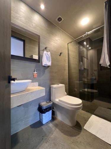 佩雷拉Balmoral Plaza Hotel的浴室配有卫生间、盥洗盆和淋浴。