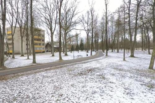 克雷廷加Studijos tipo butas šalia parko的一座有树木和建筑物的雪覆盖的公园