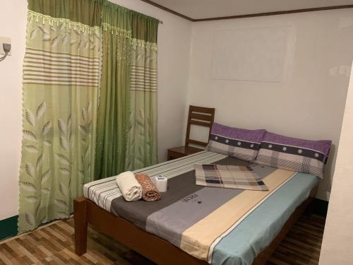 圣维森特Divinagracia Cottages的一间小卧室,配有一张带绿色窗帘的床