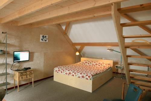 heinkenszandHistorische Boerderij FAMILIEKAMER的一间卧室设有一张床和木梯