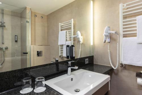 德累斯顿德累斯顿城际酒店的一间带水槽和镜子的浴室