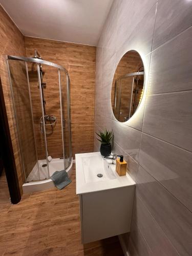格涅兹诺Apartamenty In Centro by 3 maja的一间带水槽、淋浴和镜子的浴室