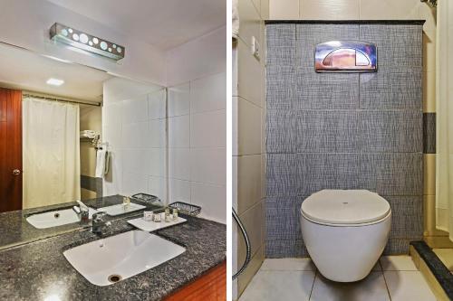 斋浦尔Hotel Royal Empire的浴室的两张照片,配有卫生间和水槽