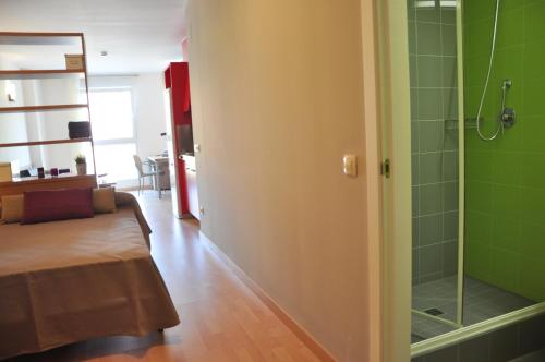 特拉萨Alojamientos Universitarios Hipatia的一间带一张床和淋浴的客厅
