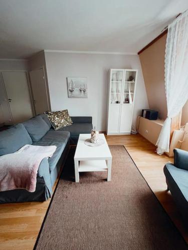 UuemõisaHuhtala apartment的客厅配有蓝色的沙发和桌子