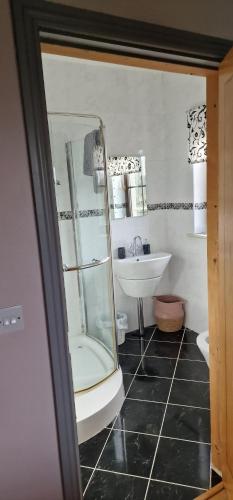 蒂珀雷里Shadowvale E34X773的一间带水槽、卫生间和镜子的浴室