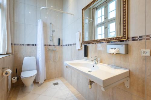米泽尔法特Milling Hotel Park的一间带水槽、卫生间和镜子的浴室