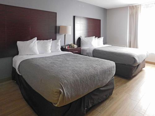 伯灵顿科尔切斯特伯灵顿品质酒店的酒店客房设有两张床和窗户。
