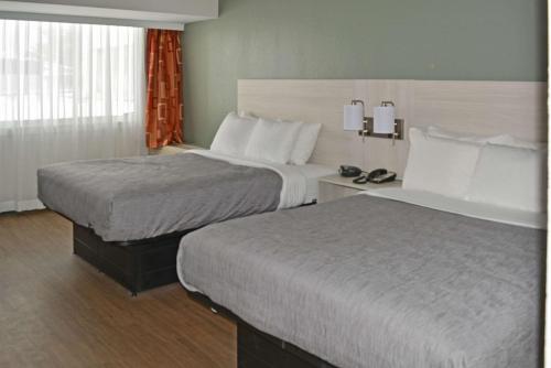 东叙拉古Quality Inn & Suites East Syracuse - Carrier Circle的酒店客房设有两张床和窗户。