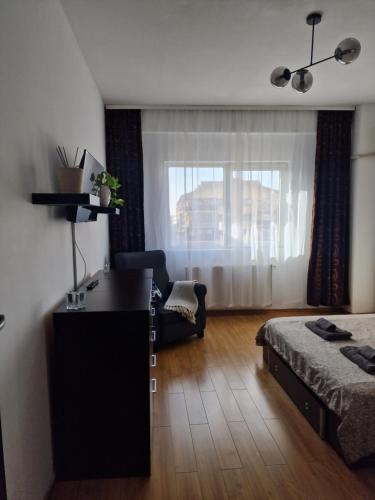 RoşuCosy Spacious Apartment with Parking, Wi-Fi, Smart-TV Netflix的客房设有床、书桌和窗户。